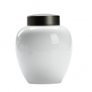 Pet Cremations Keepsake Ashes Urn