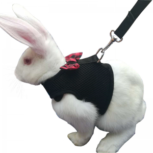 Rabbit harness and leash set for outdoor travel